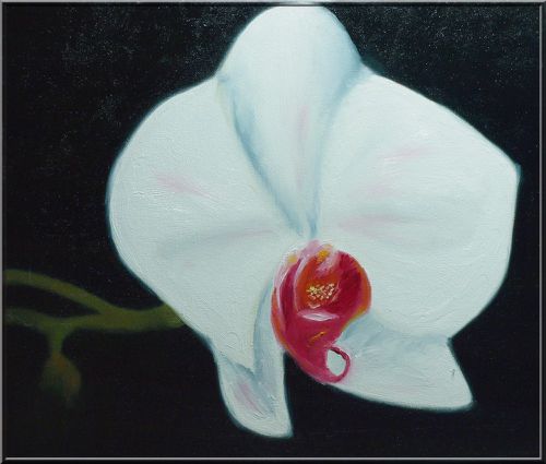 orchidee-Kopie-1.jpg