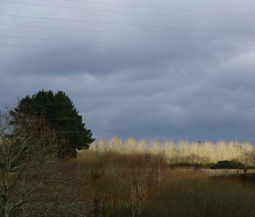 2012 8974-1