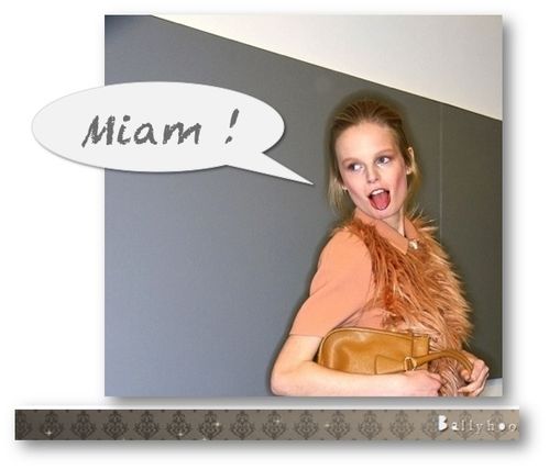 fashion ballyhoo - sauce milanaise lookbook fall 2011 fashi