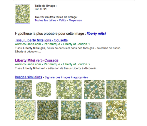 Capture-d-ecran-2013-10-10-a-20.15.33.png