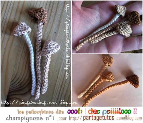 bidouille_crochet_2012_01_champignon101.jpg