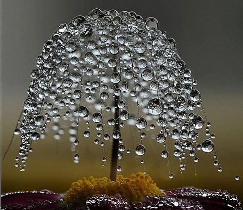 Goutte-de-pluie.jpg