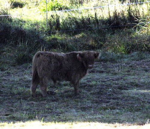 faire rencontre bretagne