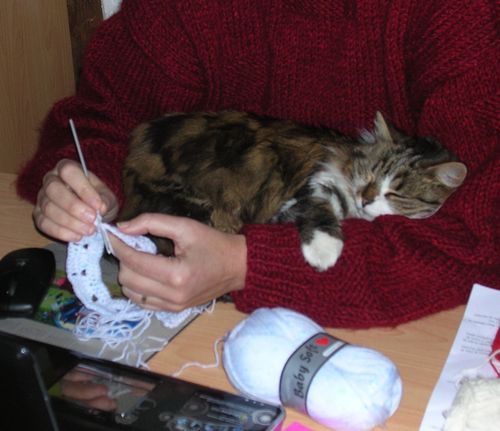 Moustic et crochet 001