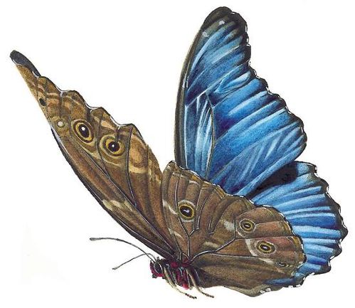 a2c7598f19c942.jpg