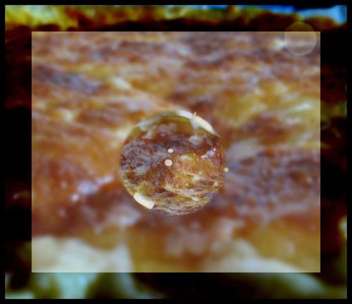 Tarte-aux-fromages.jpg