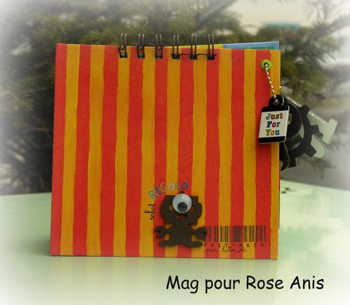 Carnet-Robin-vue-de-dos.jpg