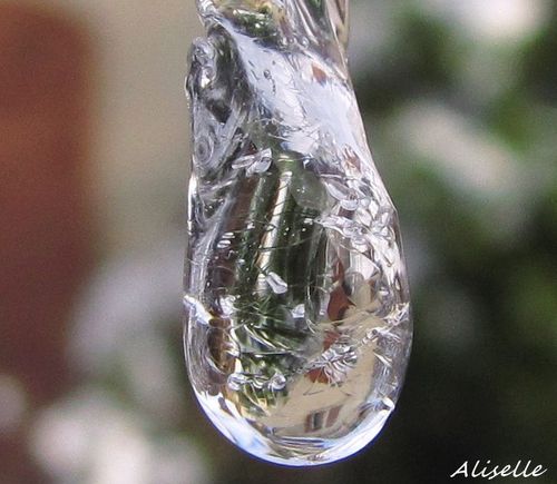 Goutte-glacee-2010---17.jpg