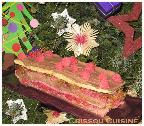 gâteau-bûche chocolat framboises