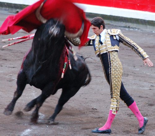 El-Pilar-instants-furtifs 7286