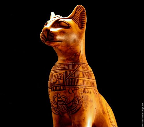 riches of ra riches of ra