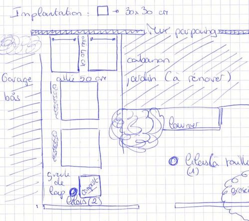 plan-potager-en-carre.jpg