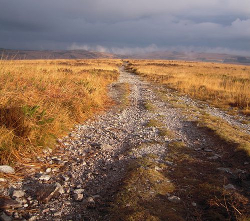 chemin