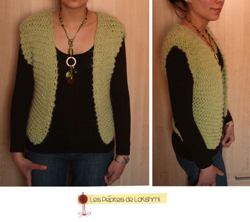 giletvert 2