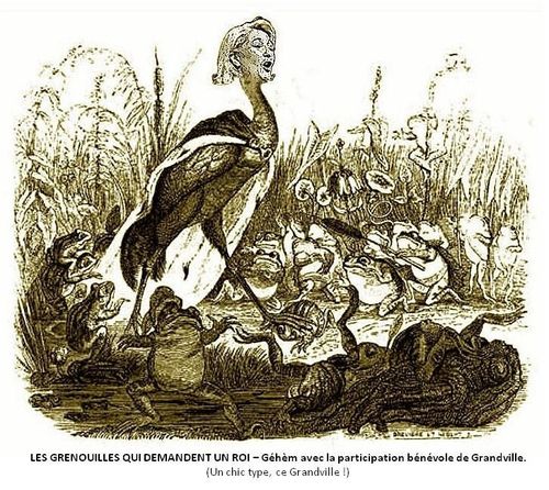 les-grenouilles-qui--jpg