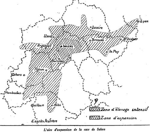 photo-1-copie-1.jpg