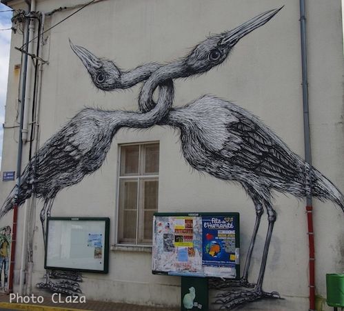 Montry-oiseaux-copie-1.jpg