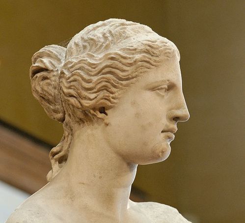 660px-Venus de Milo Louvre Ma399 n6