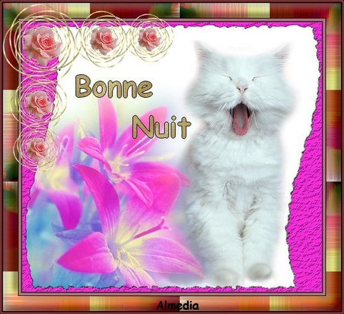 bonne-nuitt.jpg