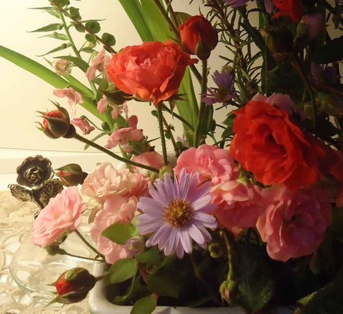DSC08548.JPG