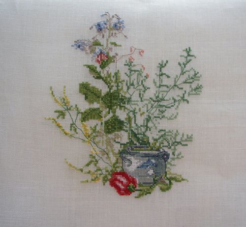 herbier2.JPG