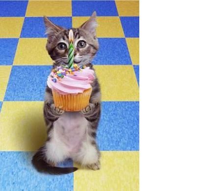 bon_anniversaire.jpg