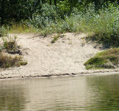 loire (15)