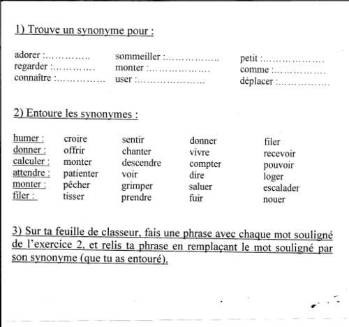 Exercices synonymes 1