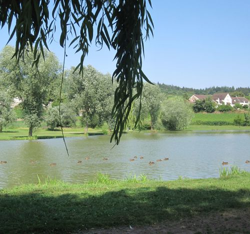 mercurey
