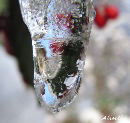 Goutte-glacee-2010--15.jpg