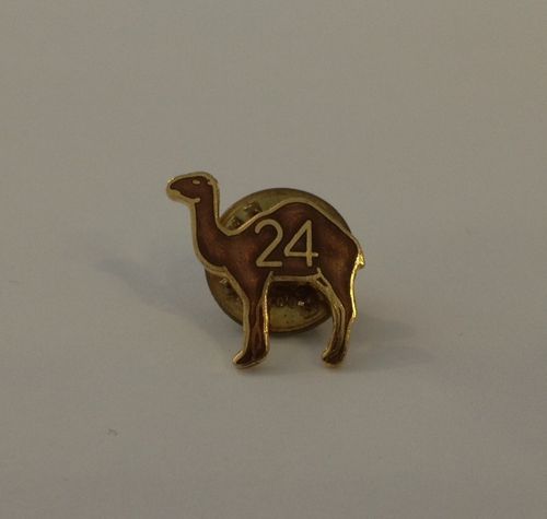 jeton 483 pins