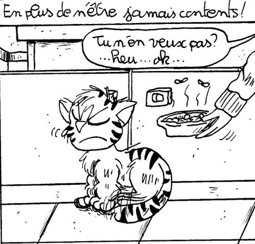 chats5.jpg