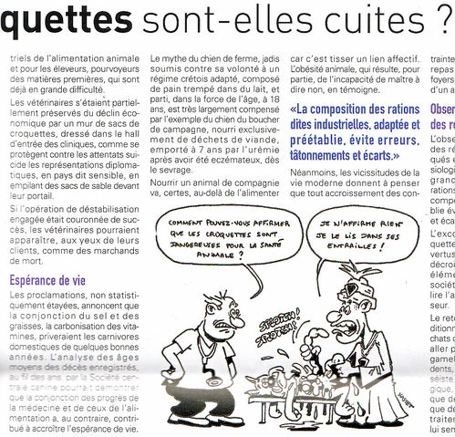 croquettes-article.jpg