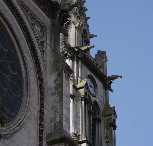DSC00367