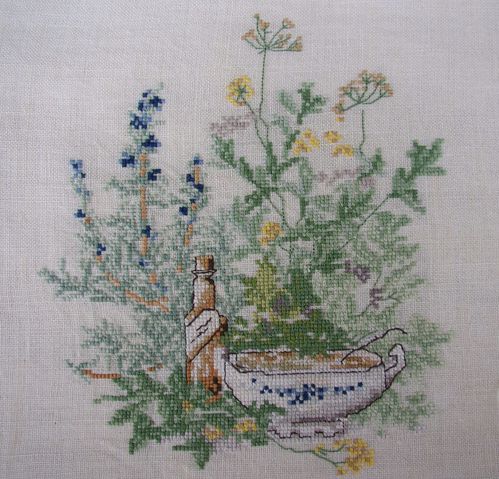 herbier1-copie-1.JPG