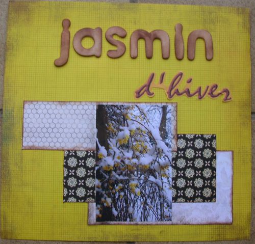 jasmin hiv