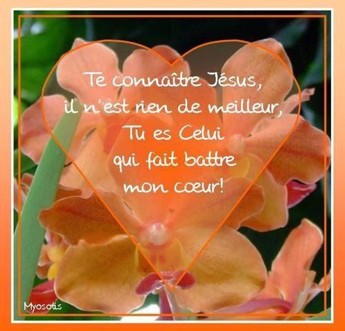 ''Les banquiers de Dieu réflexion pour réfléchir sur le carême avec Michel Bernatchez'' Il_n__est_rien_de_meilleur-1