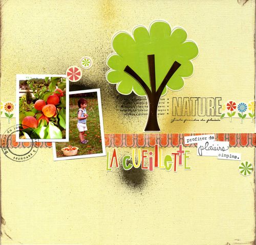 KIT-AOUT-10-CUEILLETTE.jpg