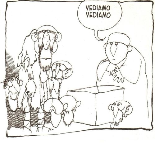 FS--VIIII--02.JPG