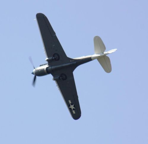 Curtiss P40N (13)