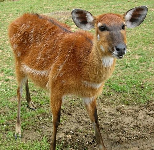 Bestioles 2863