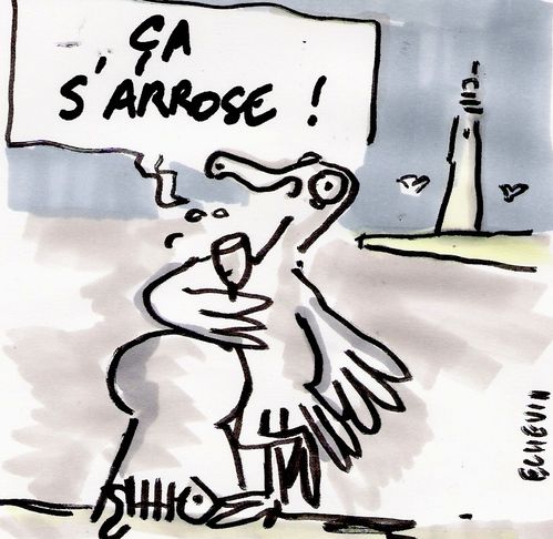 kathy-boit-un-coup.jpg