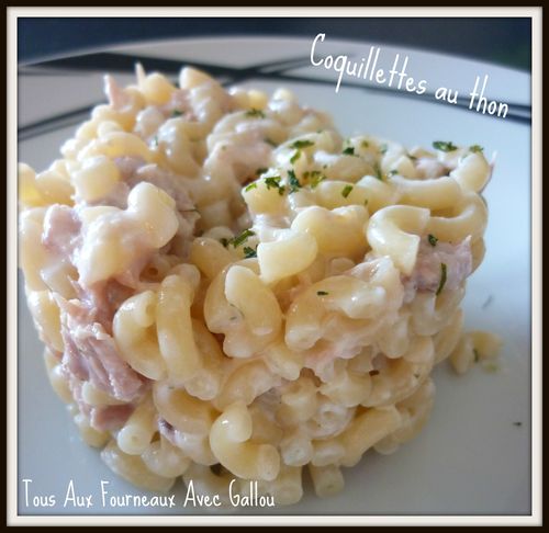 coquilettes au thon sauce fromage blanc (2)