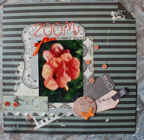 zoom