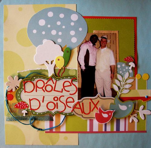 droles-d-oiseaux