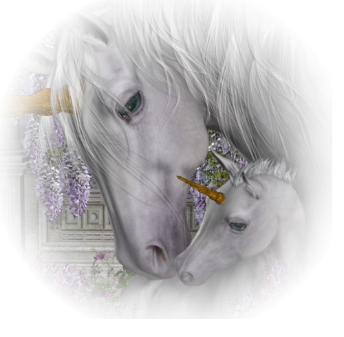 licorne 3