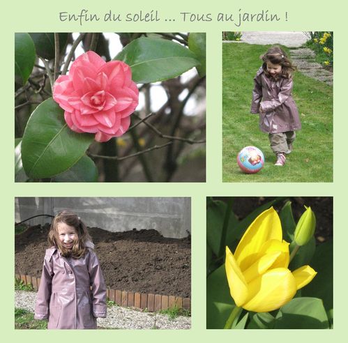 Image2-copie-1.jpg