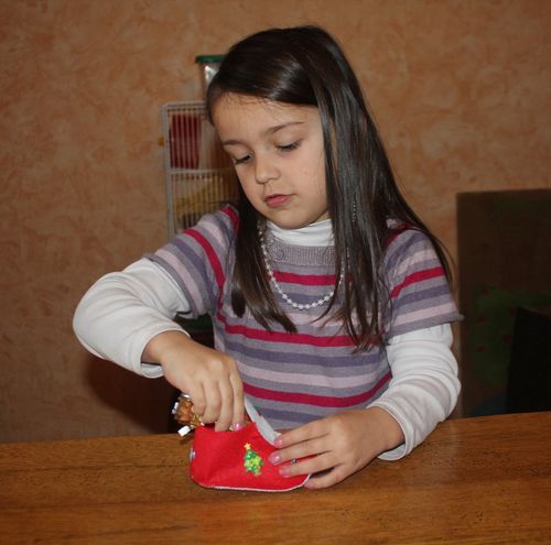 Amandine 22 12 2013 (8)