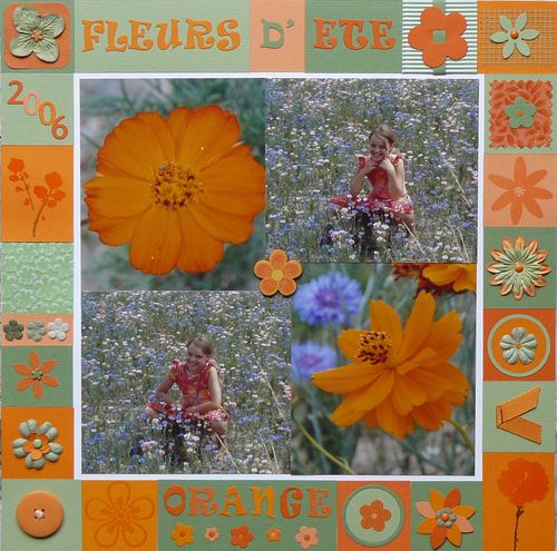 Fleurs-d-ete-orange.JPG