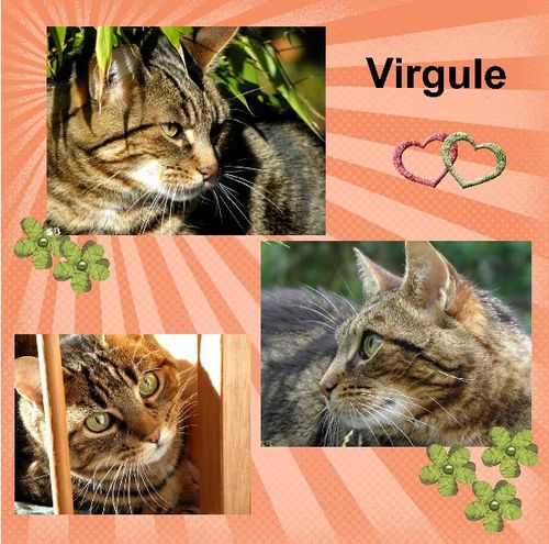 Virgule_.jpg